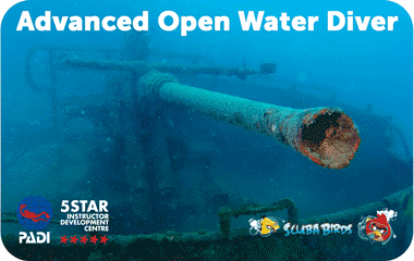 Курс PADI Advanced Open Water Diver на острове Панган для сертифицированных дайверов — ฿11,200 / 2 дня, проживание включено 