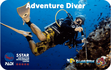 Курс PADI Adventure Diver на острове Панган для сертифицированных дайверов — ฿9,200 / 2 дня, проживание включено 