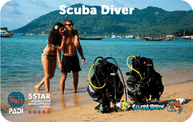 Курс PADI Scuba Diver на острове Панган для новичков —  ฿9,900 / 2 дня, проживание включено 